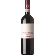 Chianti Classico Riserva 2019