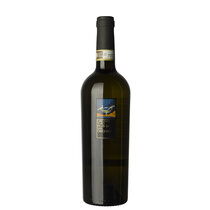 Greco di Tufo DOCG 2023- Linea Classica