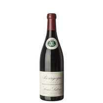 Bourgogne Gamay 2023