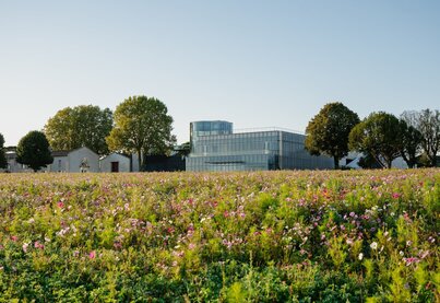 Château Lynch-Bages