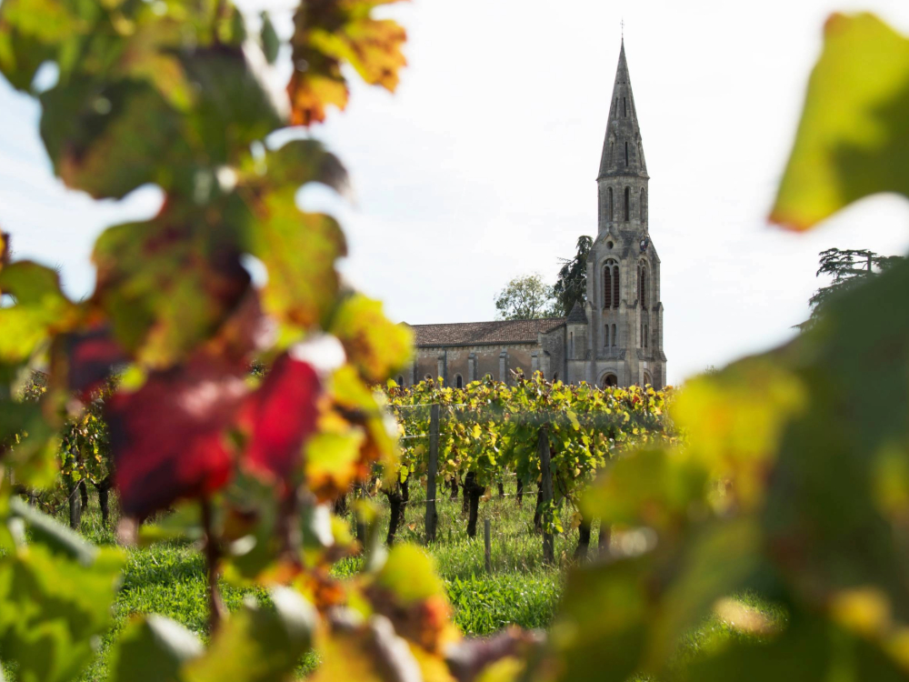 Bordeaux by Borie-Manoux  