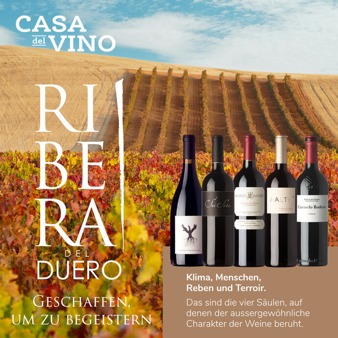 Ribera del Duero - Swan Bar